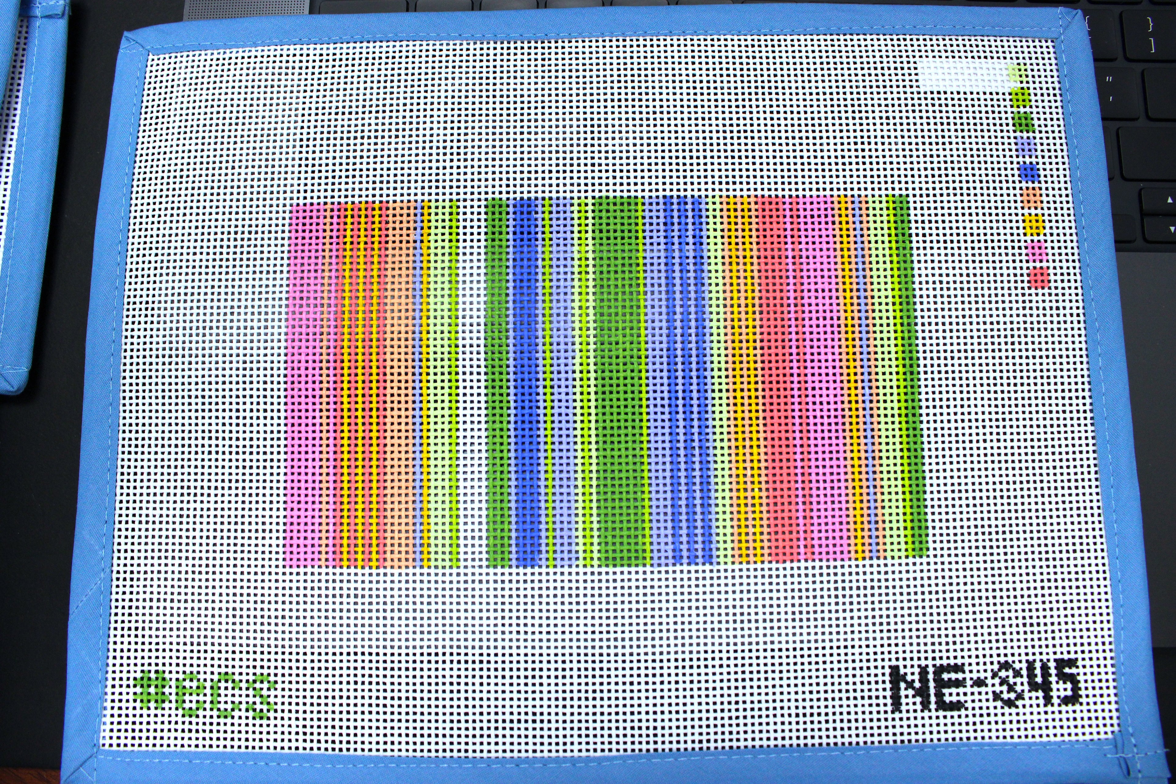 ECS Lulu Stripe Eyeglass Case (Elizabeth Crane Swartz)