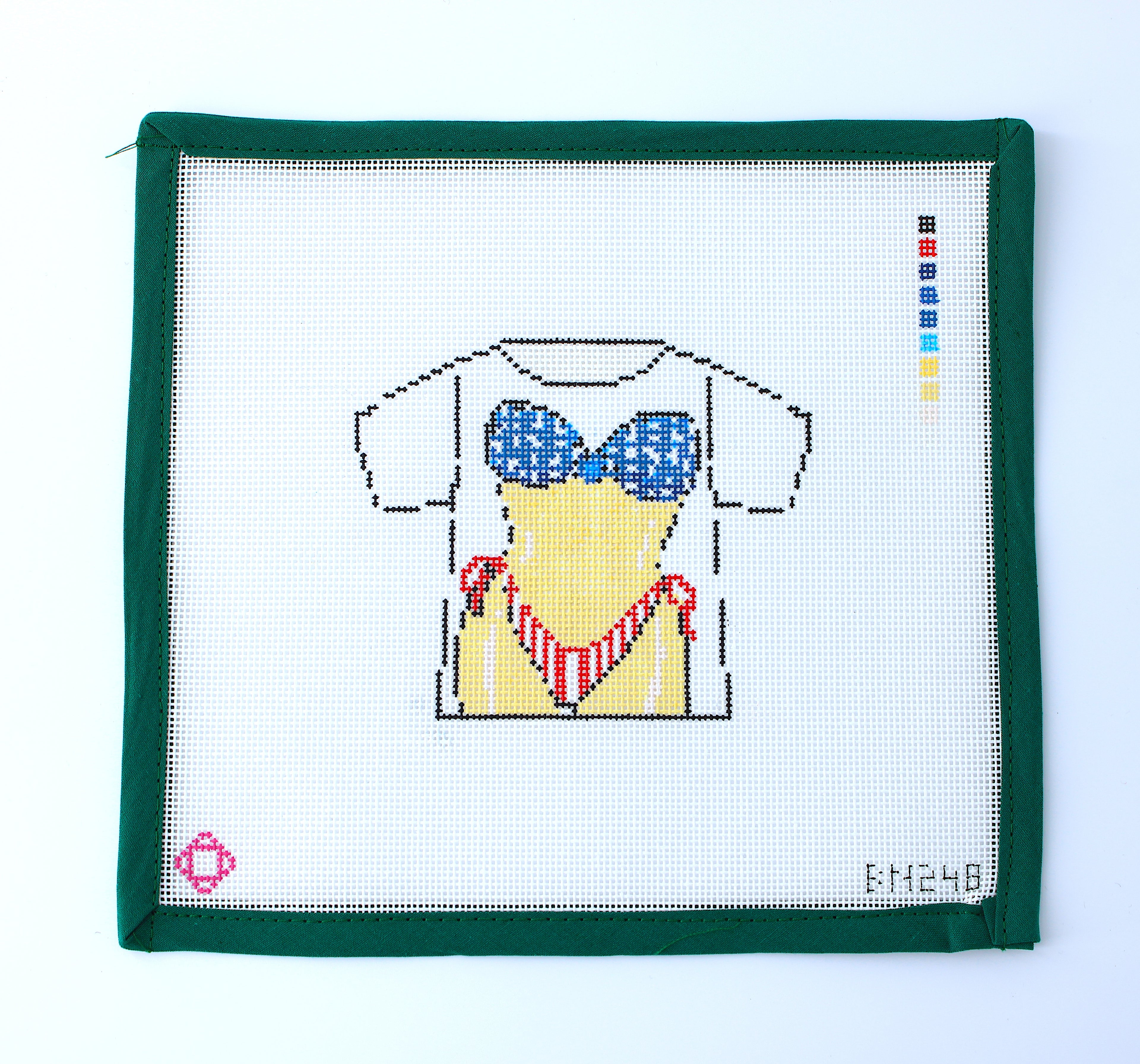 USA Bathing Suit T-shirt