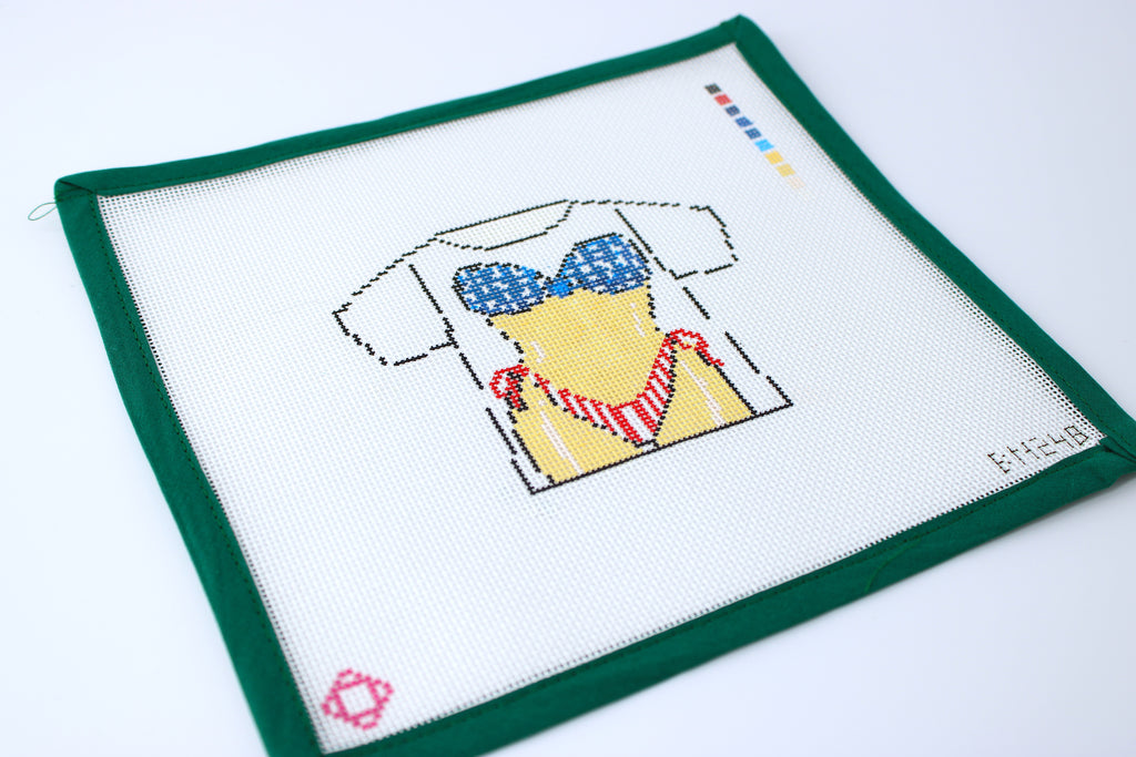 USA Bathing Suit T-shirt