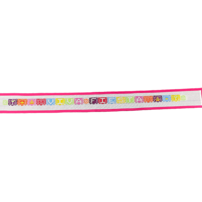 Papel Picado Fiesta Needlepoint Belt Canvas - Bexar Needleworks